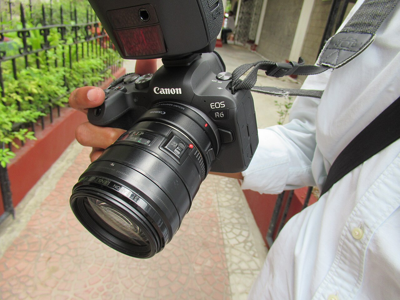 佳能 EOS R6 机身