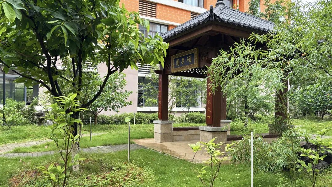 校园喷淋装置