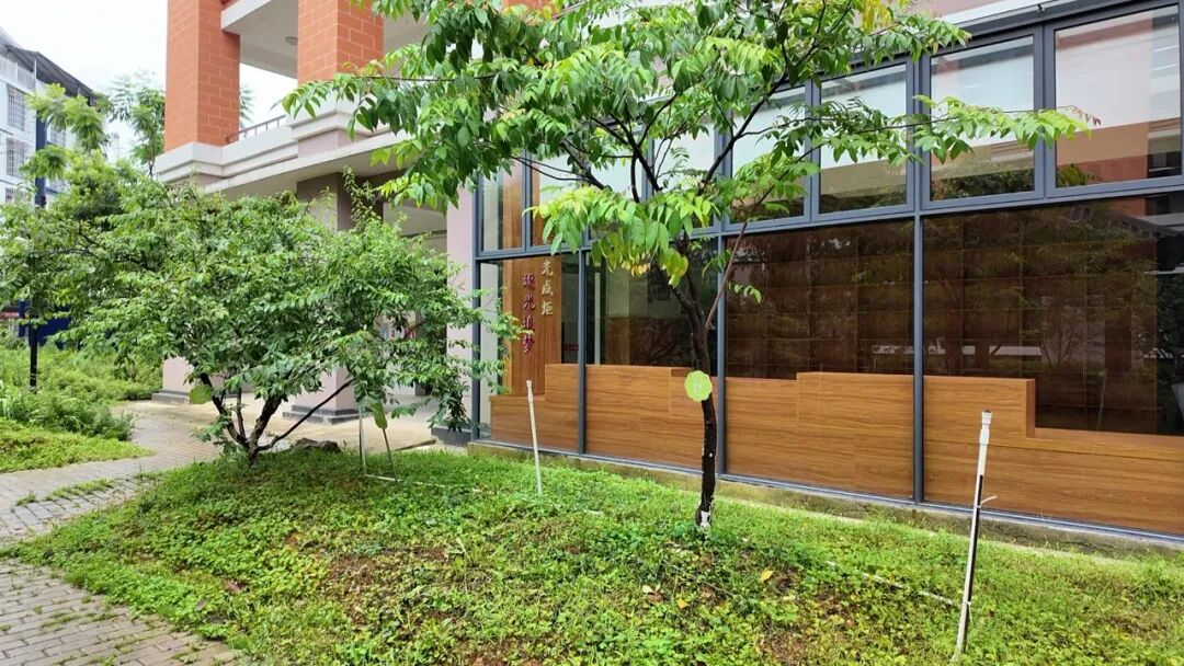 校园绿植与学生管护区