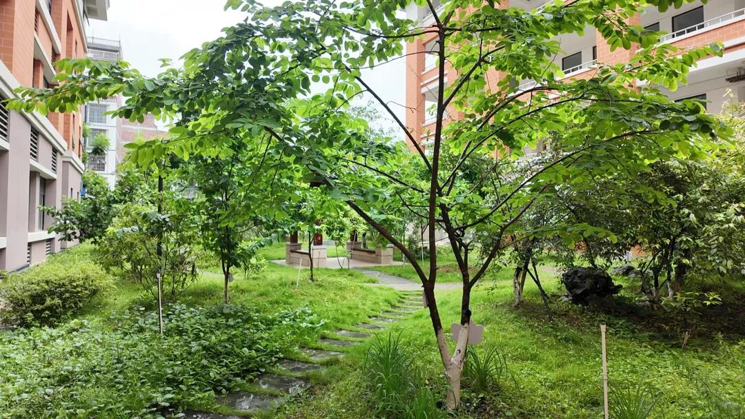 河池市污水处理厂全景